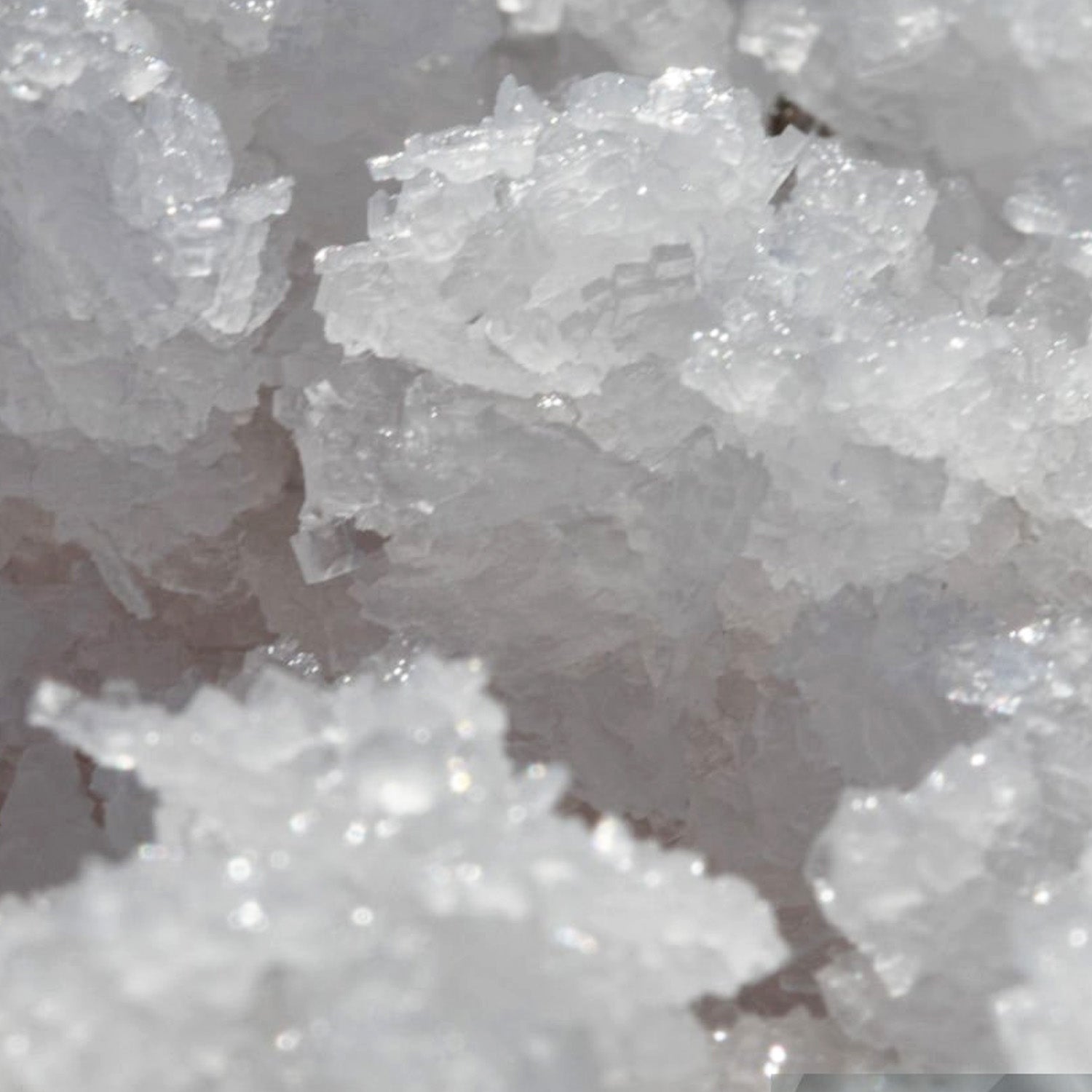 INCI MAGNESIUM-PCA