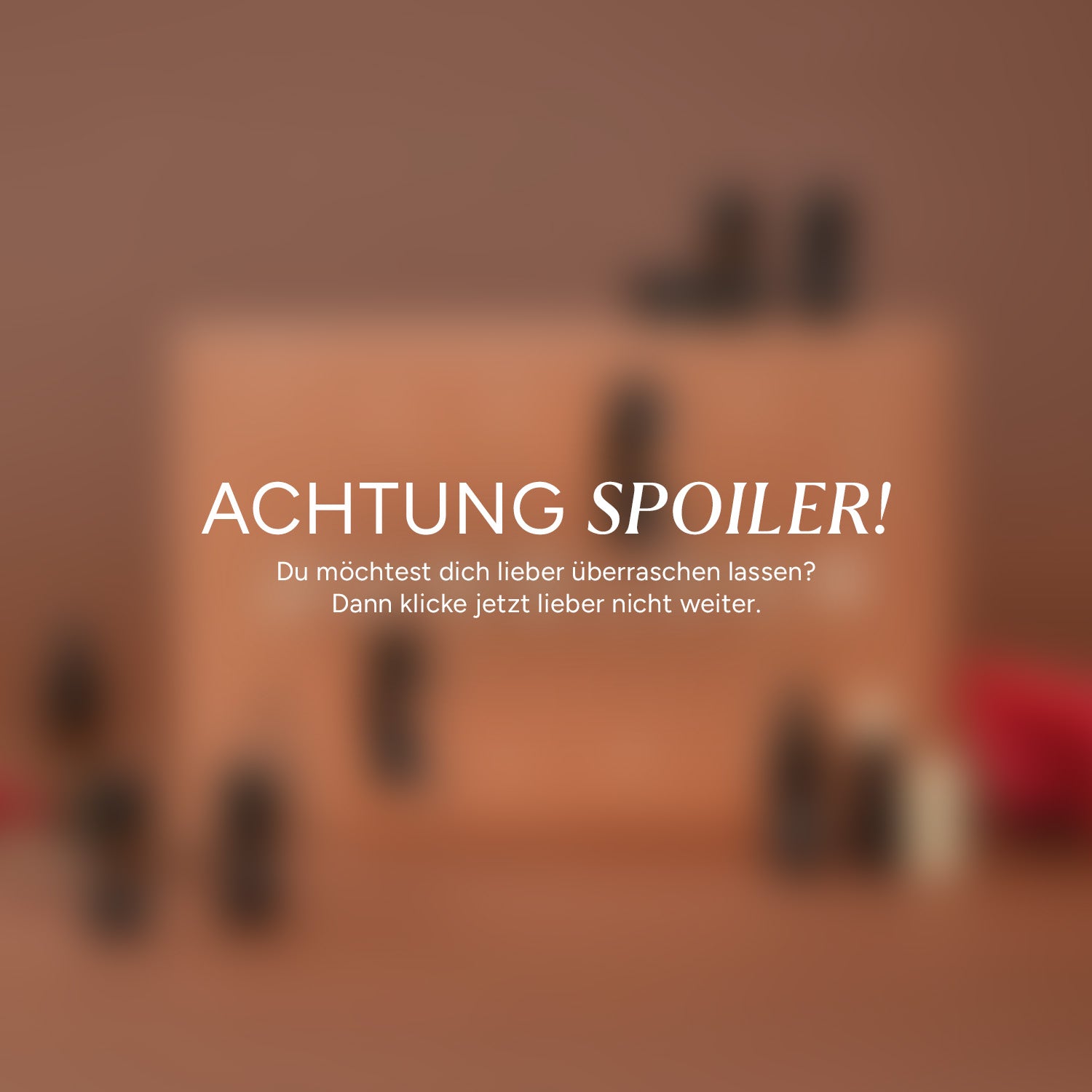 Starter Adventskalender Spoiler