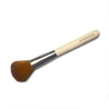 Powder brush